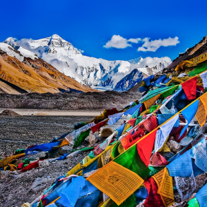 TIBETAN WINDHORSE PRAYER FLAGS